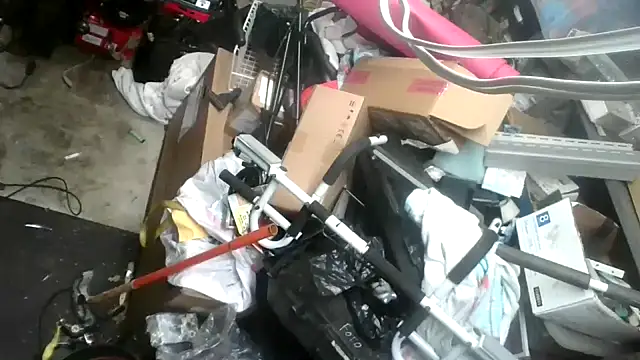 tongueispowerr6d9 online show from January 16, 2025, 5:42 am