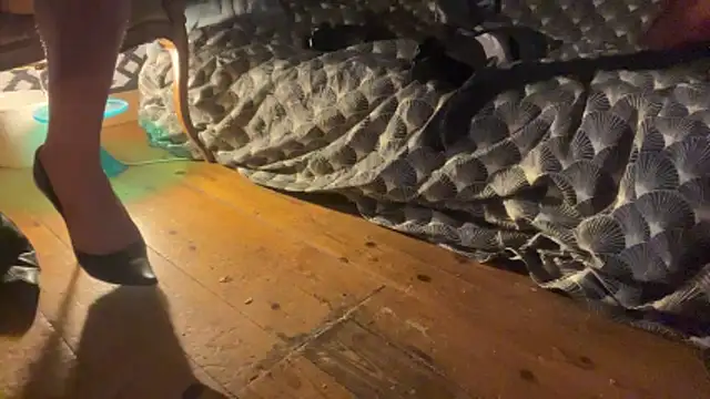 alexheels boots online show from December 3, 2025, 2:41 am