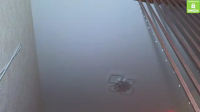 Katy perry  online show from November 27, 2025, 3:52 am