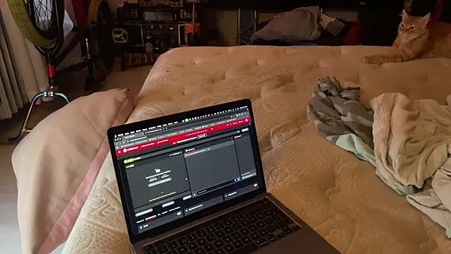 kameray12 online show from November 8, 2025, 4:56 am