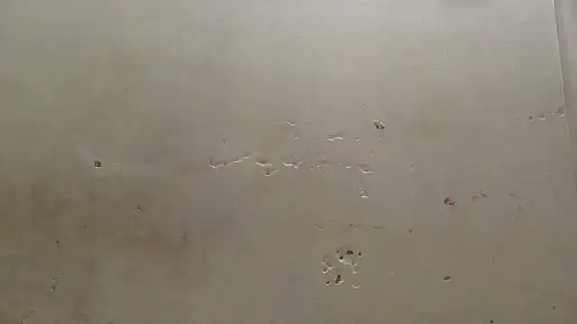 Snapshot of curvysexybody chatting on January 16, 2026, 9:41 pm curvysexybody online show from January 16, 2026, 9:41 pm