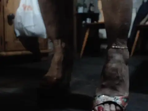 Snapshot of eva2023sexy chatting on February 5, 2026, 9:08 pm eva2023sexy online show from February 5, 2026, 9:08 pm