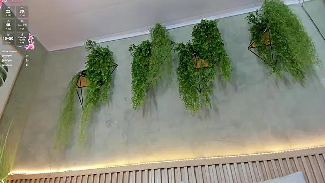 Lana Lann online show from February 8, 2025, 3:42 pm