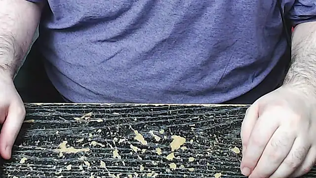 Dominant BEAR online show from November 4, 2025, 4:33 am