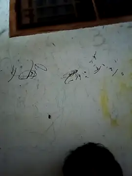 Snapshot of jayabal-04 chatting on December 18, 2025, 10:38 pm jayabal-04 online show from December 18, 2025, 10:38 pm