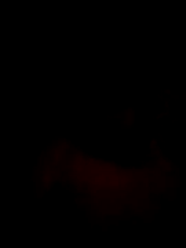 Mahi-00B online show from January 16, 2026, 6:12 pm