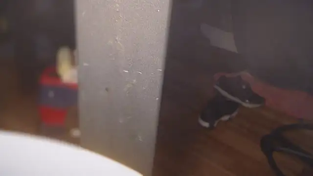 flexingplexico online show from March 1, 2025, 8:31 pm