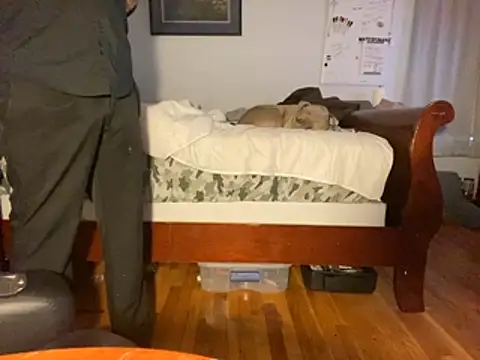 Snapshot of flexingplexico chatting on January 14, 2026, 1:06 pm flexingplexico online show from January 14, 2026, 1:06 pm