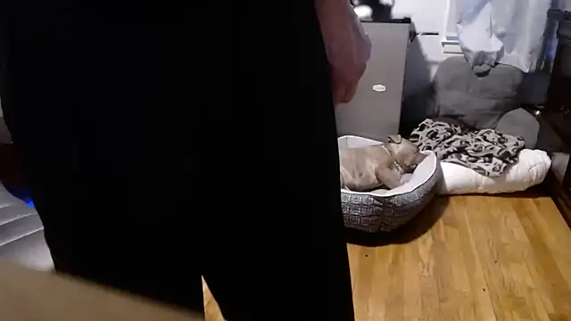 Snapshot of flexingplexico chatting on February 16, 2026, 10:50 pm flexingplexico online show from February 16, 2026, 10:50 pm