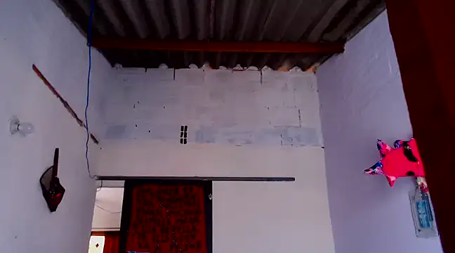 Snapshot of Zafiro_subversiva chatting on February 3, 2025, 2:13 pm Zafiro subversiva online show from February 3, 2025, 2:13 pm