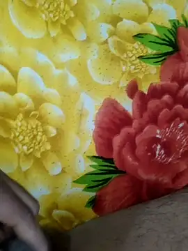 Snapshot of MALLUSING555 chatting on December 23, 2025, 4:43 am MALLUSING555 online show from December 23, 2025, 4:43 am