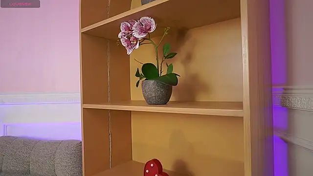 Anybuny online show from November 7, 2025, 11:54 am