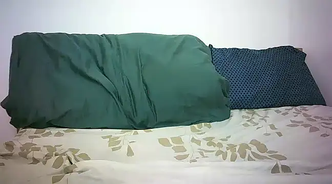 Snapshot of Cryaluna chatting on December 18, 2024, 12:07 pm Cryaluna online show from December 18, 2024, 12:07 pm