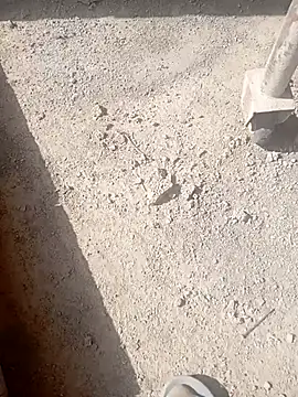 Snapshot of Kurtsikici@xh chatting on October 21, 2025, 9:32 am Kurtsikicixh online show from October 21, 2025, 9:32 am