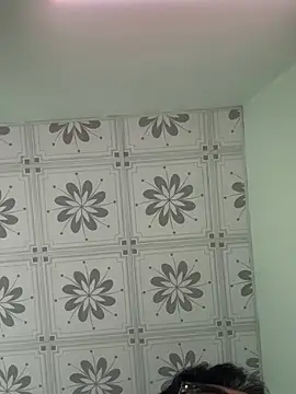 Snapshot of MinhTuanLive chatting on February 12, 2026, 5:24 am MinhTuanLive online show from February 12, 2026, 5:24 am