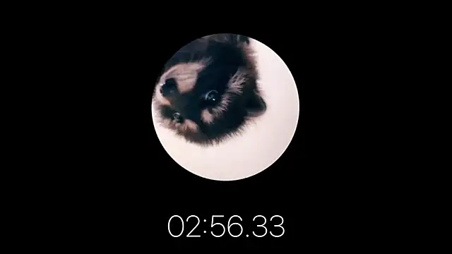 les mod sc2 online show from February 12, 2025, 1:59 pm