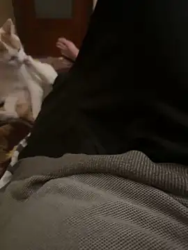 bigboy30X online show from October 31, 2025, 4:19 pm