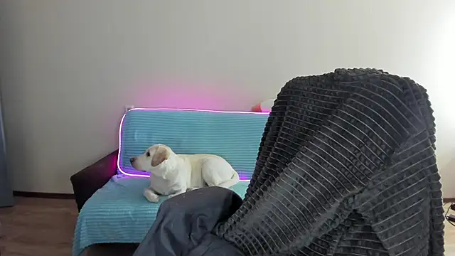 Liam sexy1 online show from December 20, 2024, 8:06 am