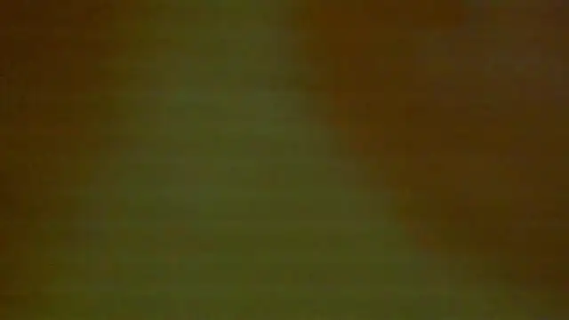Snapshot of shanel_taylor chatting on December 18, 2024, 5:04 am shanel taylor online show from December 18, 2024, 5:04 am