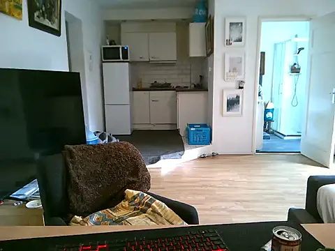 mihaimichael online show from May 11, 2026, 11:49 am