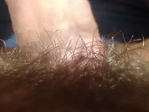 lolamike19 online show from February 2, 2026, 11:31 am