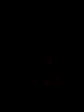 PITBuk 708 online show from September 15, 2025, 2:00 am