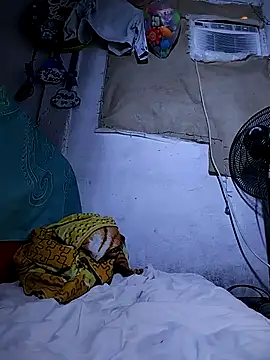 The-quee22 online show from October 11, 2025, 11:31 am