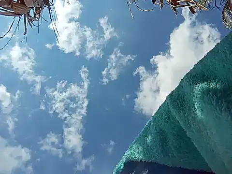 natally ross21 online show from December 8, 2024, 3:45 pm