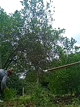 natally ross21 online show from February 21, 2025, 12:50 pm