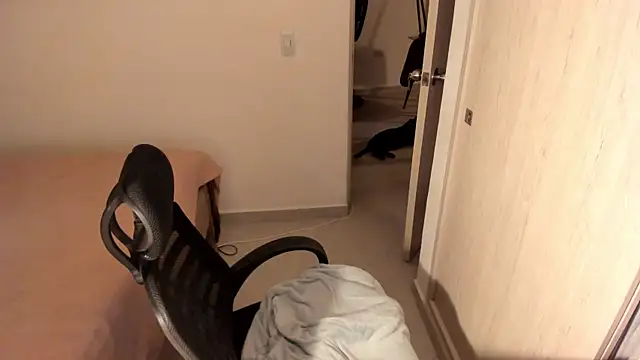 misstoya online show from July 9, 2026, 12:53 pm