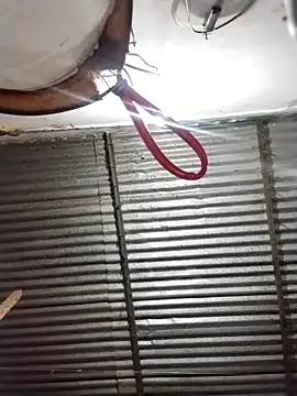 Andreita 95 online show from March 21, 2026, 11:04 am