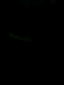 gurilove online show from November 16, 2025, 4:51 am