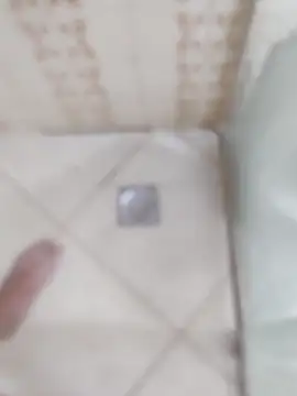 Snapshot of carvalhesco chatting on December 16, 2025, 3:33 am carvalhesco online show from December 16, 2025, 3:33 am