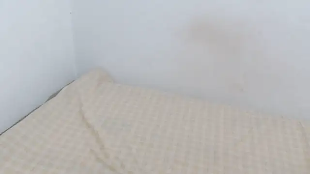 Snapshot of Adara_cooper22 chatting on October 30, 2025, 9:59 pm Adara cooper22 online show from October 30, 2025, 9:59 pm