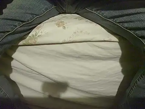 Snapshot of Tiger202441 chatting on December 8, 2024, 1:56 am Tiger202441 online show from December 8, 2024, 1:56 am