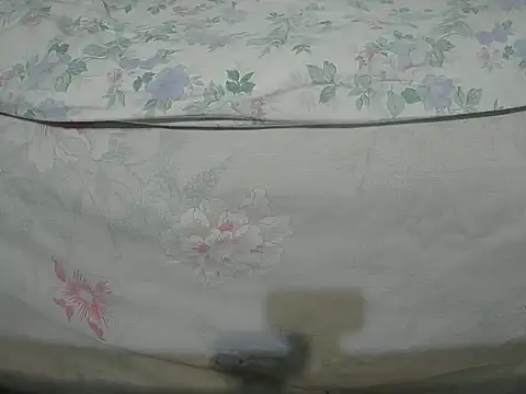 Snapshot of Tiger202441 chatting on December 16, 2024, 10:24 pm Tiger202441 online show from December 16, 2024, 10:24 pm