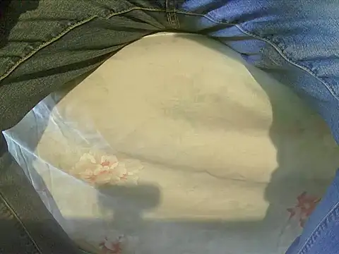 Snapshot of Tiger202441 chatting on December 17, 2024, 11:17 am Tiger202441 online show from December 17, 2024, 11:17 am