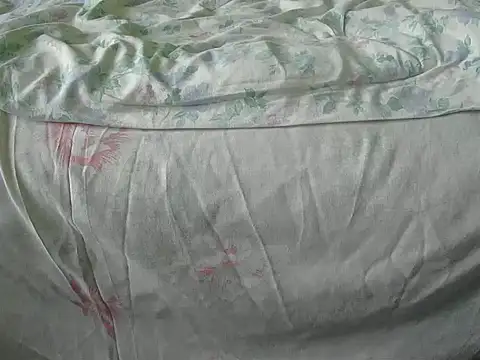 Snapshot of Tiger202441 chatting on December 18, 2024, 10:08 am Tiger202441 online show from December 18, 2024, 10:08 am