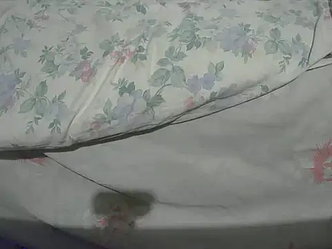 Snapshot of Tiger202441 chatting on December 20, 2024, 10:32 pm Tiger202441 online show from December 20, 2024, 10:32 pm