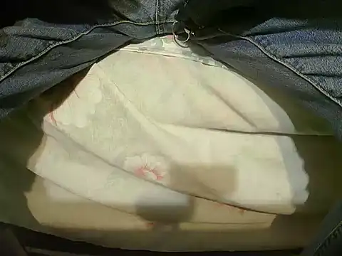 Snapshot of Tiger202441 chatting on December 23, 2024, 8:47 pm Tiger202441 online show from December 23, 2024, 8:47 pm