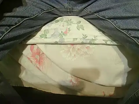 Snapshot of Tiger202441 chatting on December 25, 2024, 5:47 pm Tiger202441 online show from December 25, 2024, 5:47 pm