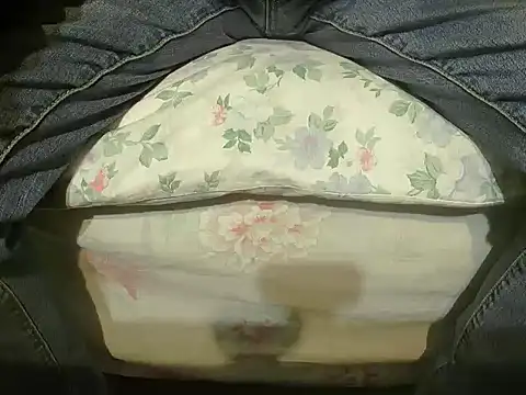 Snapshot of Tiger202441 chatting on December 27, 2024, 10:37 pm Tiger202441 online show from December 27, 2024, 10:37 pm