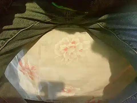 Snapshot of Tiger202441 chatting on December 30, 2024, 9:48 am Tiger202441 online show from December 30, 2024, 9:48 am