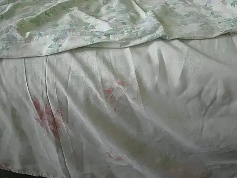 Snapshot of Tiger202441 chatting on December 31, 2024, 12:04 pm Tiger202441 online show from December 31, 2024, 12:04 pm