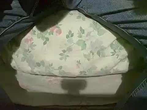 Snapshot of Tiger202441 chatting on January 12, 2025, 4:08 pm Tiger202441 online show from January 12, 2025, 4:08 pm