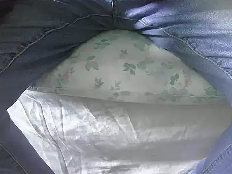 Snapshot of Tiger202441 chatting on February 2, 2025, 12:46 pm Tiger202441 online show from February 2, 2025, 12:46 pm