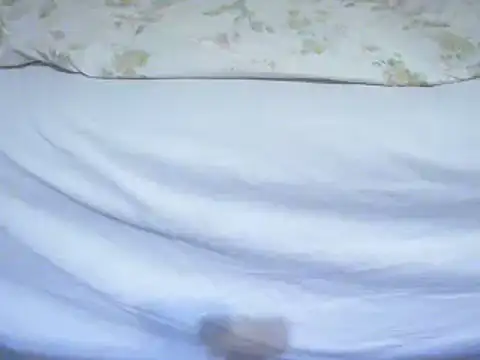 Snapshot of Tiger202441 chatting on February 12, 2025, 11:41 pm Tiger202441 online show from February 12, 2025, 11:41 pm