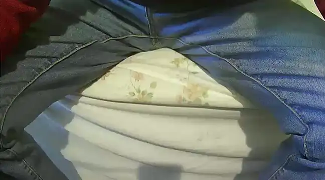 Snapshot of Tiger202441 chatting on February 16, 2025, 3:48 pm Tiger202441 online show from February 16, 2025, 3:48 pm