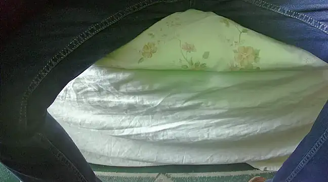 Snapshot of Tiger202441 chatting on February 27, 2025, 10:48 am Tiger202441 online show from February 27, 2025, 10:48 am