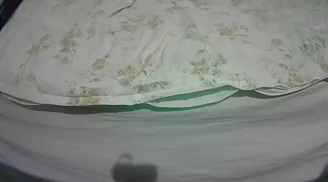 Snapshot of Tiger202441 chatting on March 4, 2025, 9:32 pm Tiger202441 online show from March 4, 2025, 9:32 pm